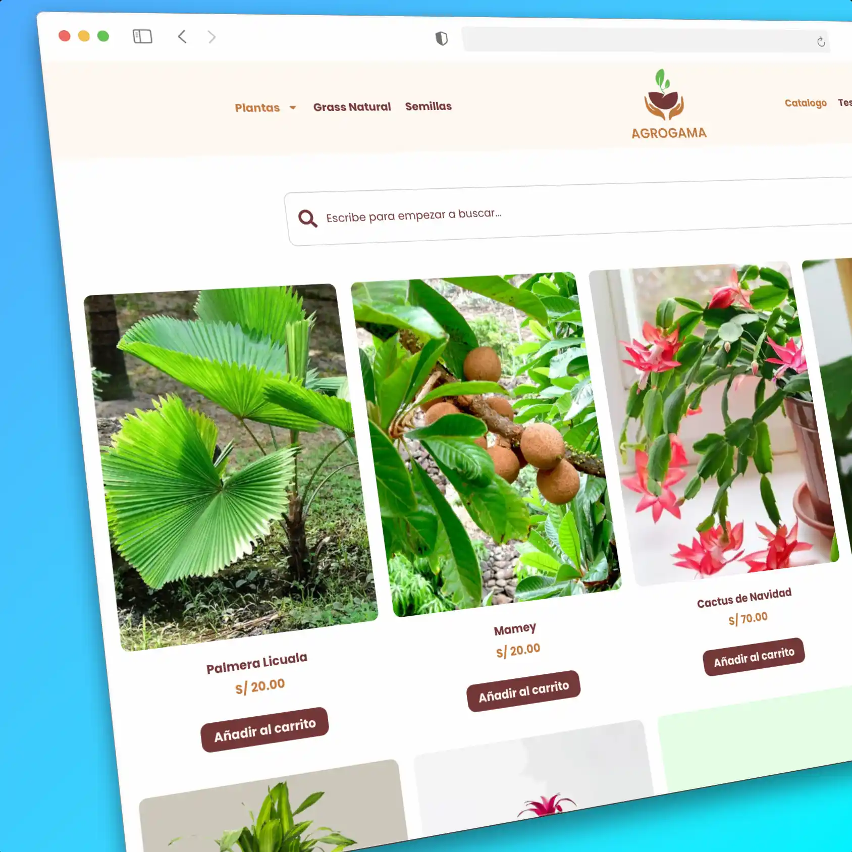 Tienda online para vivero